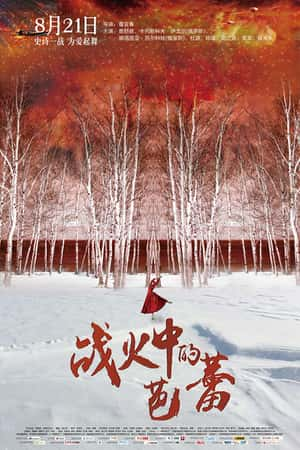 国语电影《战火中的芭蕾》(2015)-小众纪录片电影下载蓝光4K/1080P/720P/360P高清标清网盘BT迅雷下载