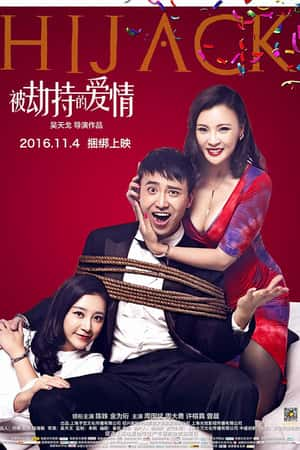 国语电影《被劫持的爱情》(2016)-小众纪录片电影下载蓝光4K/1080P/720P/360P高清标清网盘BT迅雷下载