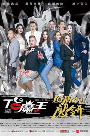 国语电影《T台魔王》(2016)-小众纪录片电影下载蓝光4K/1080P/720P/360P高清标清网盘BT迅雷下载