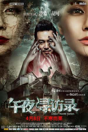 国语电影《午夜寻访录》(2016)-小众纪录片电影下载蓝光4K/1080P/720P/360P高清标清网盘BT迅雷下载