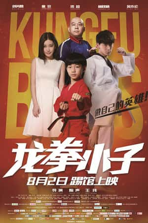 国语电影《龙拳小子》(2016)-小众纪录片电影下载蓝光4K/1080P/720P/360P高清标清网盘BT迅雷下载