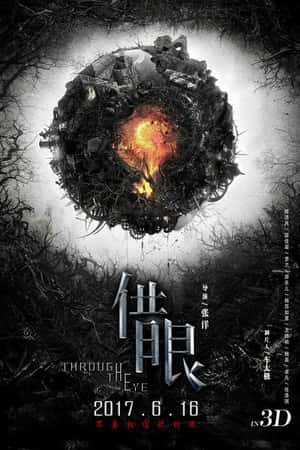 国语电影《借眼》(2017)-小众纪录片电影下载蓝光4K/1080P/720P/360P高清标清网盘BT迅雷下载