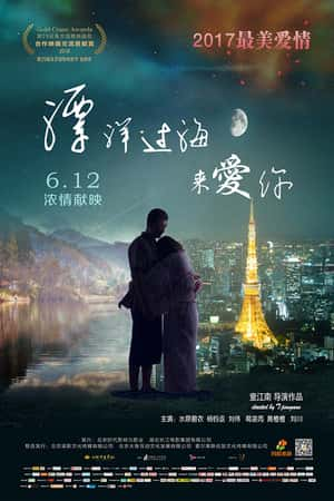 国语电影《漂洋过海来爱你》(2016)-小众纪录片电影下载蓝光4K/1080P/720P/360P高清标清网盘BT迅雷下载