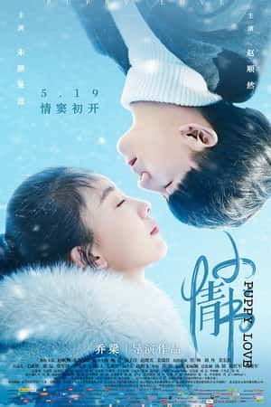 国语电影《伪婚男女》(2017)-小众纪录片电影下载蓝光4K/1080P/720P/360P高清标清网盘BT迅雷下载