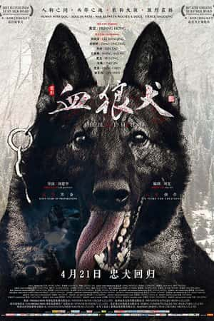 国语电影《血狼犬》(2017)-小众纪录片电影下载蓝光4K/1080P/720P/360P高清标清网盘BT迅雷下载