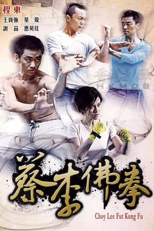 国语电影《蔡李佛拳》(2011)-小众纪录片电影下载蓝光4K/1080P/720P/360P高清标清网盘BT迅雷下载