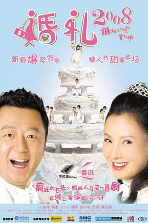 国语电影《婚礼2008》(2008)-小众纪录片电影下载蓝光4K/1080P/720P/360P高清标清网盘BT迅雷下载