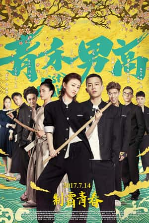 国语电影《青禾男高》(2017)-小众纪录片电影下载蓝光4K/1080P/720P/360P高清标清网盘BT迅雷下载