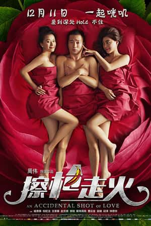 国语电影《擦枪走火》(2015)-小众纪录片电影下载蓝光4K/1080P/720P/360P高清标清网盘BT迅雷下载