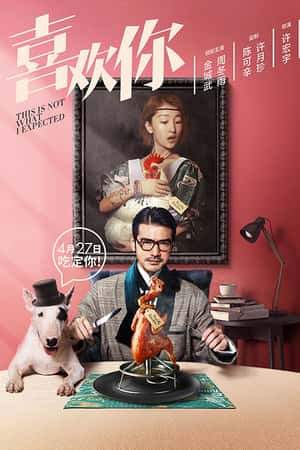 国语电影《喜欢你》(2017)-小众纪录片电影下载蓝光4K/1080P/720P/360P高清标清网盘BT迅雷下载