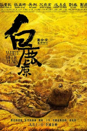 国语电影《白鹿原》(2012)-小众纪录片电影下载蓝光4K/1080P/720P/360P高清标清网盘BT迅雷下载