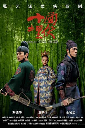 国语电影《十面埋伏》(2004)-小众纪录片电影下载蓝光4K/1080P/720P/360P高清标清网盘BT迅雷下载