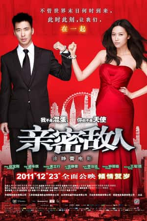 国语电影《亲密敌人》(2011)-小众纪录片电影下载蓝光4K/1080P/720P/360P高清标清网盘BT迅雷下载