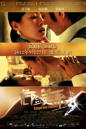 国语电影《危险关系》(2012)-小众纪录片电影下载蓝光4K/1080P/720P/360P高清标清网盘BT迅雷下载