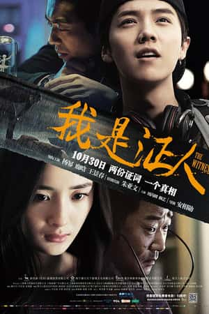 国语电影《我是证人》(2015)-小众纪录片电影下载蓝光4K/1080P/720P/360P高清标清网盘BT迅雷下载