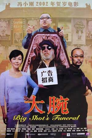 国语电影《大腕》(2001)-小众纪录片电影下载蓝光4K/1080P/720P/360P高清标清网盘BT迅雷下载