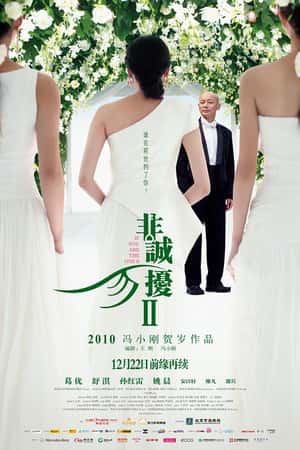 国语电影《非诚勿扰2》(2010)-小众纪录片电影下载蓝光4K/1080P/720P/360P高清标清网盘BT迅雷下载