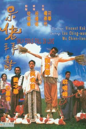 港台电影《呆佬拜寿》(1995)呆佬拜壽-小众纪录片电影下载蓝光4K/1080P/720P/360P高清标清网盘BT迅雷下载