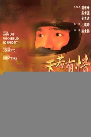 港台电影《天若有情》(1990)-小众纪录片电影下载蓝光4K/1080P/720P/360P高清标清网盘BT迅雷下载