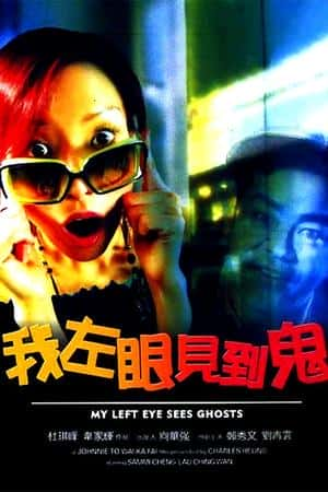 港台电影《我左眼见到鬼》(2002)-小众纪录片电影下载蓝光4K/1080P/720P/360P高清标清网盘BT迅雷下载