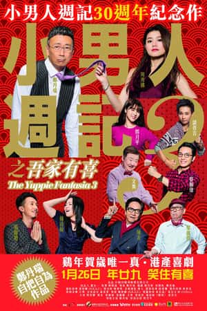 港台电影《小男人周记之吾家有喜》(2017)小男人週記3之吾家有喜-小众纪录片电影下载蓝光4K/1080P/720P/360P高清标清网盘BT迅雷下载