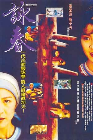 港台电影《咏春》(1994)詠春-小众纪录片电影下载蓝光4K/1080P/720P/360P高清标清网盘BT迅雷下载