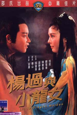 港台电影《杨过与小龙女》(1983)楊過與小龍女-小众纪录片电影下载蓝光4K/1080P/720P/360P高清标清网盘BT迅雷下载