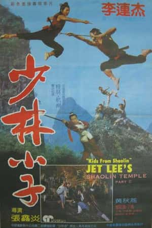 港台电影《少林小子》(1984)-小众纪录片电影下载蓝光4K/1080P/720P/360P高清标清网盘BT迅雷下载