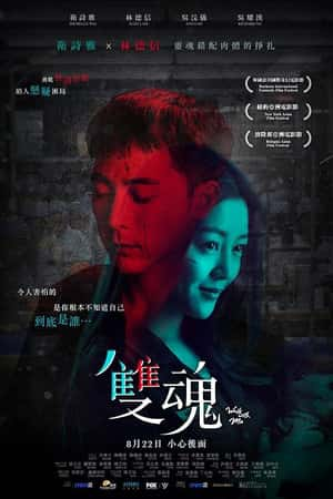 港台电影《双魂》(2018)雙魂-小众纪录片电影下载蓝光4K/1080P/720P/360P高清标清网盘BT迅雷下载