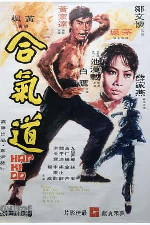 港台电影《合气道》(1972)-小众纪录片电影下载蓝光4K/1080P/720P/360P高清标清网盘BT迅雷下载