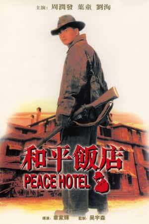 港台电影《花旗少林》(1994)-小众纪录片电影下载蓝光4K/1080P/720P/360P高清标清网盘BT迅雷下载