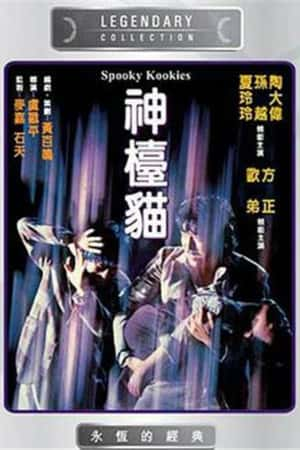 港台电影《神台猫》(1981)神檯貓-小众纪录片电影下载蓝光4K/1080P/720P/360P高清标清网盘BT迅雷下载