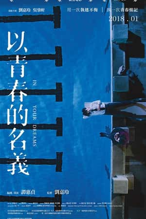 港台电影《以青春的名义》(2017)以青春的名義-小众纪录片电影下载蓝光4K/1080P/720P/360P高清标清网盘BT迅雷下载