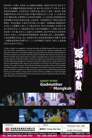 港台电影《旺角大家姐》(1994)-小众纪录片电影下载蓝光4K/1080P/720P/360P高清标清网盘BT迅雷下载