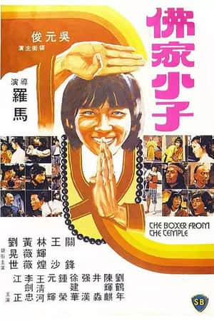 港台电影《黑侠》(1996)-小众纪录片电影下载蓝光4K/1080P/720P/360P高清标清网盘BT迅雷下载