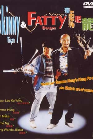 港台电影《瘦虎肥龙》(1990)瘦虎肥龍-小众纪录片电影下载蓝光4K/1080P/720P/360P高清标清网盘BT迅雷下载