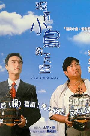 港台电影《没有小鸟的天空》(1998)-小众纪录片电影下载蓝光4K/1080P/720P/360P高清标清网盘BT迅雷下载