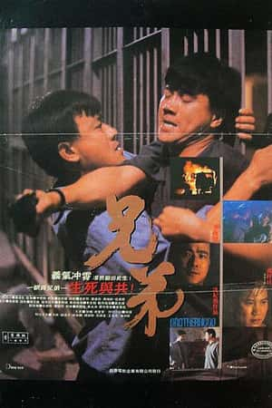 港台电影《兄弟》(1986)兄弟-小众纪录片电影下载蓝光4K/1080P/720P/360P高清标清网盘BT迅雷下载