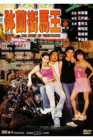 港台电影《砵兰街马王》(2000)砵蘭街馬王-小众纪录片电影下载蓝光4K/1080P/720P/360P高清标清网盘BT迅雷下载