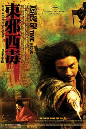 港台电影《东邪西毒：终极版》(2008)東邪西毒終極版-小众纪录片电影下载蓝光4K/1080P/720P/360P高清标清网盘BT迅雷下载