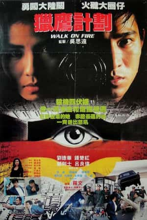 港台电影《猎鹰计划》(1988)猎鹰计划-小众纪录片电影下载蓝光4K/1080P/720P/360P高清标清网盘BT迅雷下载