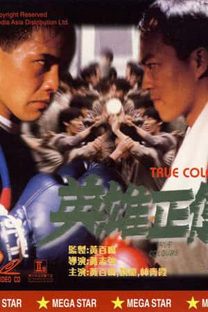 港台电影《英雄正传》(1986)英雄正传-小众纪录片电影下载蓝光4K/1080P/720P/360P高清标清网盘BT迅雷下载