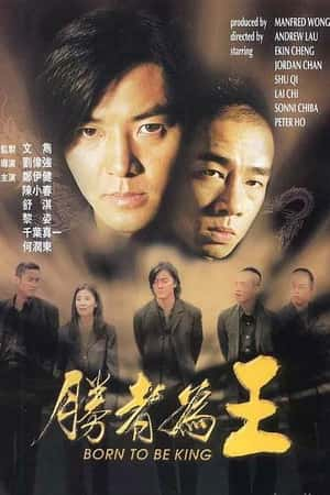 港台电影《胜者为王》(2000)勝者為王-小众纪录片电影下载蓝光4K/1080P/720P/360P高清标清网盘BT迅雷下载