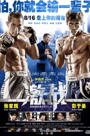 港台电影《激战》(2013)激戰-小众纪录片电影下载蓝光4K/1080P/720P/360P高清标清网盘BT迅雷下载