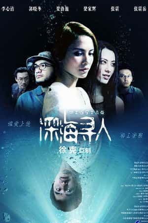 港台电影《深海寻人》(2008)-小众纪录片电影下载蓝光4K/1080P/720P/360P高清标清网盘BT迅雷下载