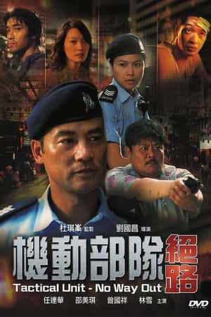 港台电影《机动部队—绝路》(2008)-小众纪录片电影下载蓝光4K/1080P/720P/360P高清标清网盘BT迅雷下载