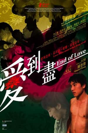 港台电影《爱到尽》(2009)-小众纪录片电影下载蓝光4K/1080P/720P/360P高清标清网盘BT迅雷下载