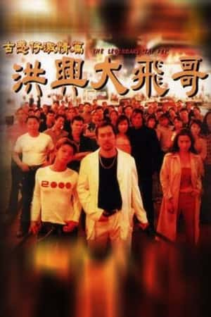 港台电影《古惑仔激情篇之洪兴大飞哥》(1999)古惑仔激情篇洪興大飛哥-小众纪录片电影下载蓝光4K/1080P/720P/360P高清标清网盘BT迅雷下载