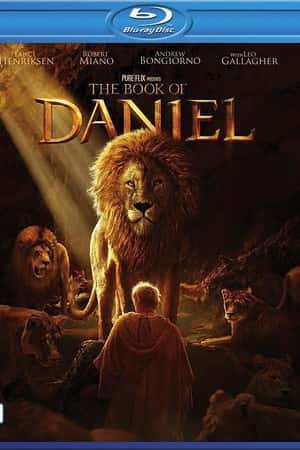 欧美电影《但以理书》(2013)The Book of Daniel-小众纪录片电影下载蓝光4K/1080P/720P/360P高清标清网盘BT迅雷下载