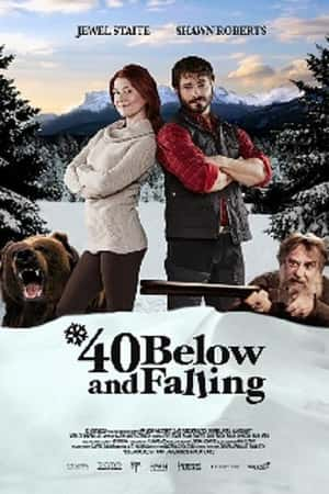 欧美电影《40 Below and Falling》(2015)-小众纪录片电影下载蓝光4K/1080P/720P/360P高清标清网盘BT迅雷下载